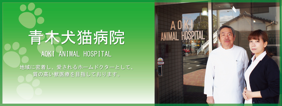 鳥栖市の動物病院「青木犬猫病院」スライダー2