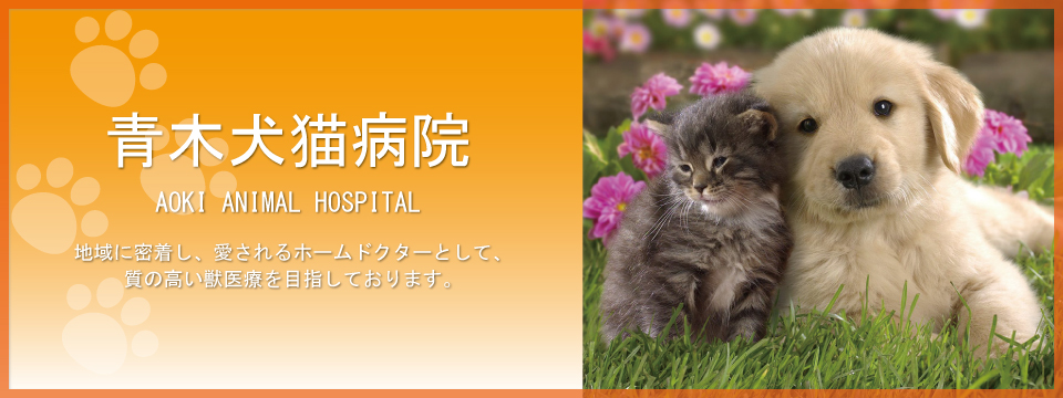 鳥栖市の動物病院「青木犬猫病院」スライダー3